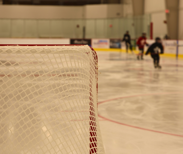 Iceplex Page Header