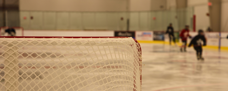 Iceplex Mobile Header